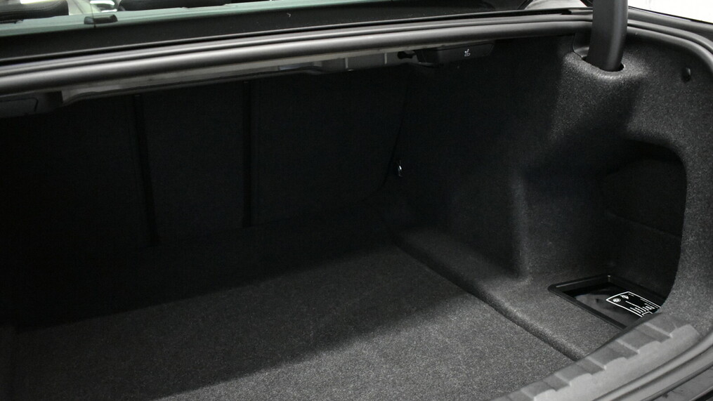 BMW Seria 3 318