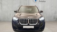 miniaturka - BMW X1