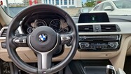 BMW Seria 3 318