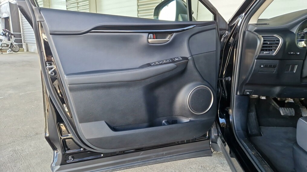 Lexus NX 300H