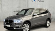 miniaturka - BMW X5