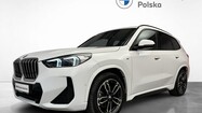 miniaturka - BMW X1