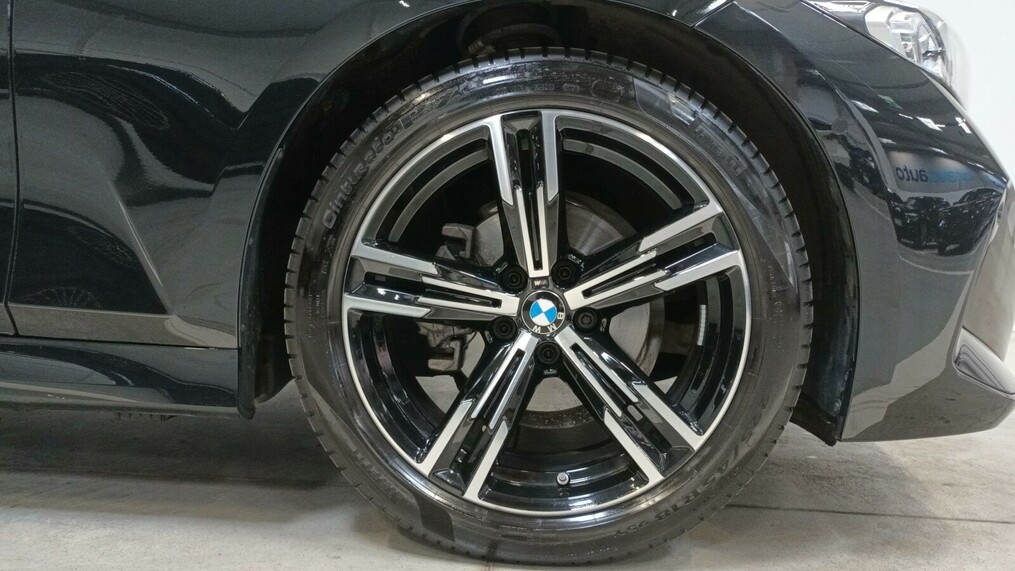 BMW Seria 3 318