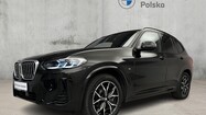 miniaturka - BMW X3
