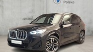 miniaturka - BMW X1