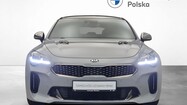 miniaturka - Kia Stinger