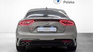 miniaturka - Kia Stinger