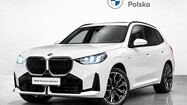 miniaturka - BMW X3