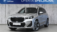 miniaturka - BMW X1