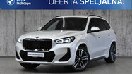 miniaturka - BMW X1
