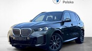 miniaturka - BMW X5